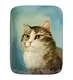 Шкатулка Кот