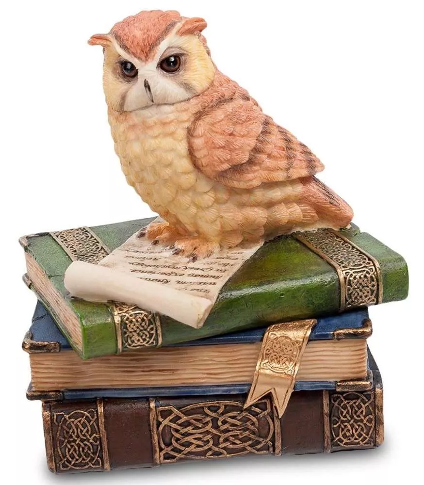 Шкатулка Сова на книгах