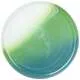Тарелка обеденная Alabaster green