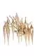 Бра Caramella (розовое золото)