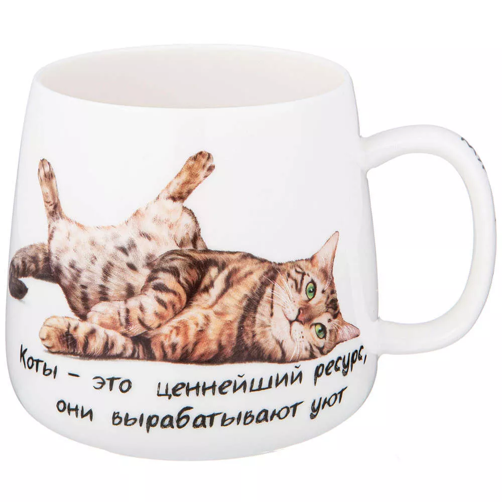Кружка Бери кота