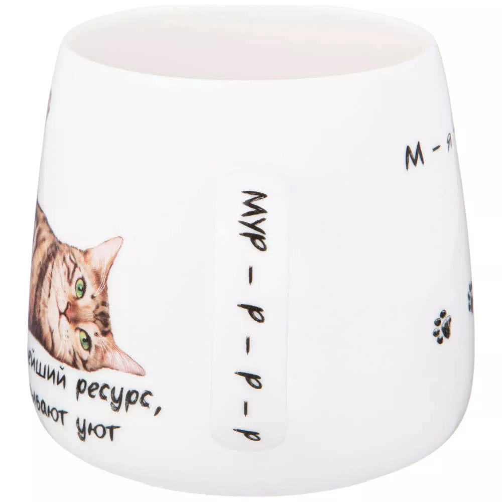Кружка Бери кота