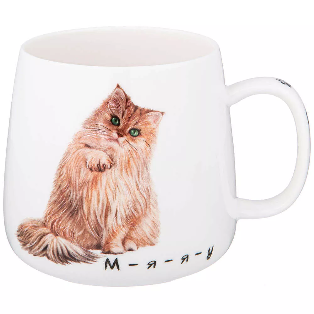Кружка Бери кота