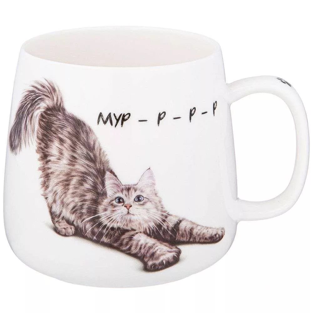 Кружка Бери кота
