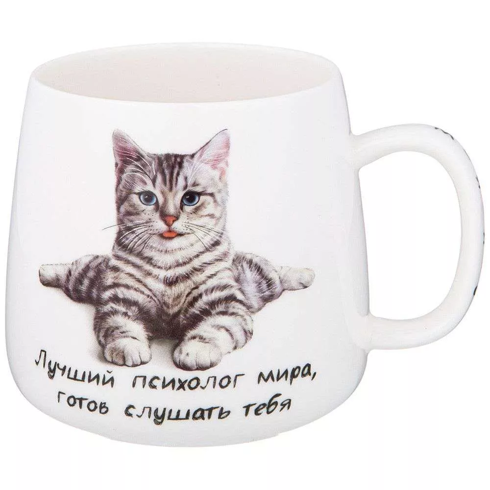 Кружка Бери кота