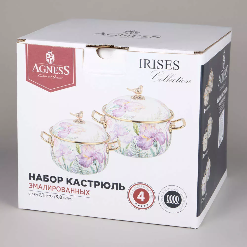 Набор из 2-х кастрюль эмалированных Irises