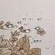 Скатерть Royal Garden