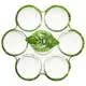 Подставка для 6 яиц стеклянная Sunday Green Курочка