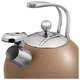 Чайник со свистком термоаккумулирующее дно индукция (цвет какао с серебром)