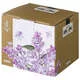 Кружка Lilac пудровая