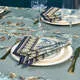 Набор из 2 салфеток Листья Морриса Gold Stripe хлопок