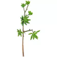 Цветок искусственный Суккулент
