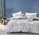Комплект постельного белья Twill 1,5 спальный наволочки 50x70