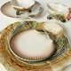 Тарелка для хлеба Bordallo Pinheiro Oysters & Scallops 16 см мультиколор