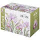 Чайник заварочный Irises 800 мл