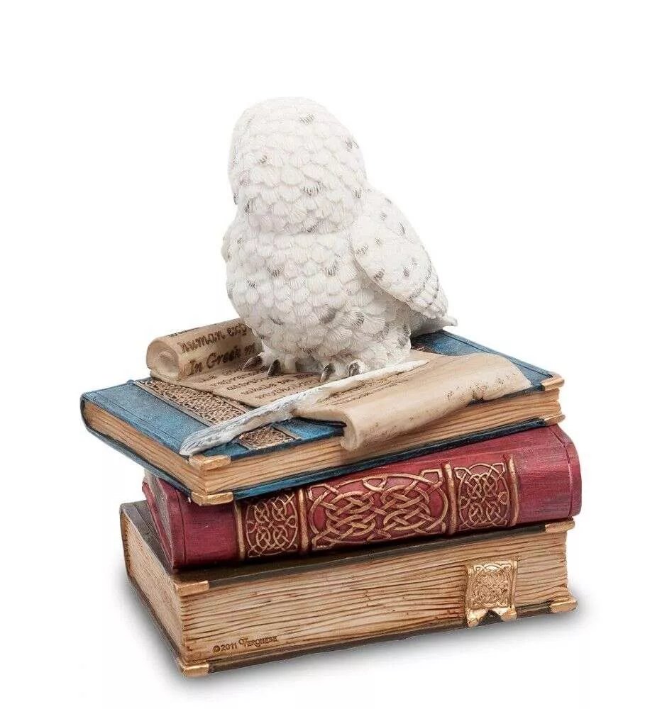Шкатулка Сова на книгах