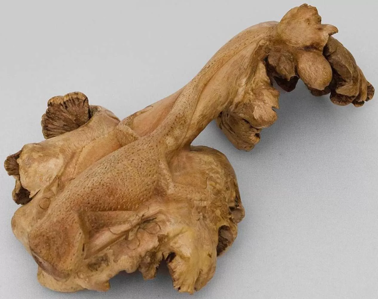 Статуэтка Геккон
