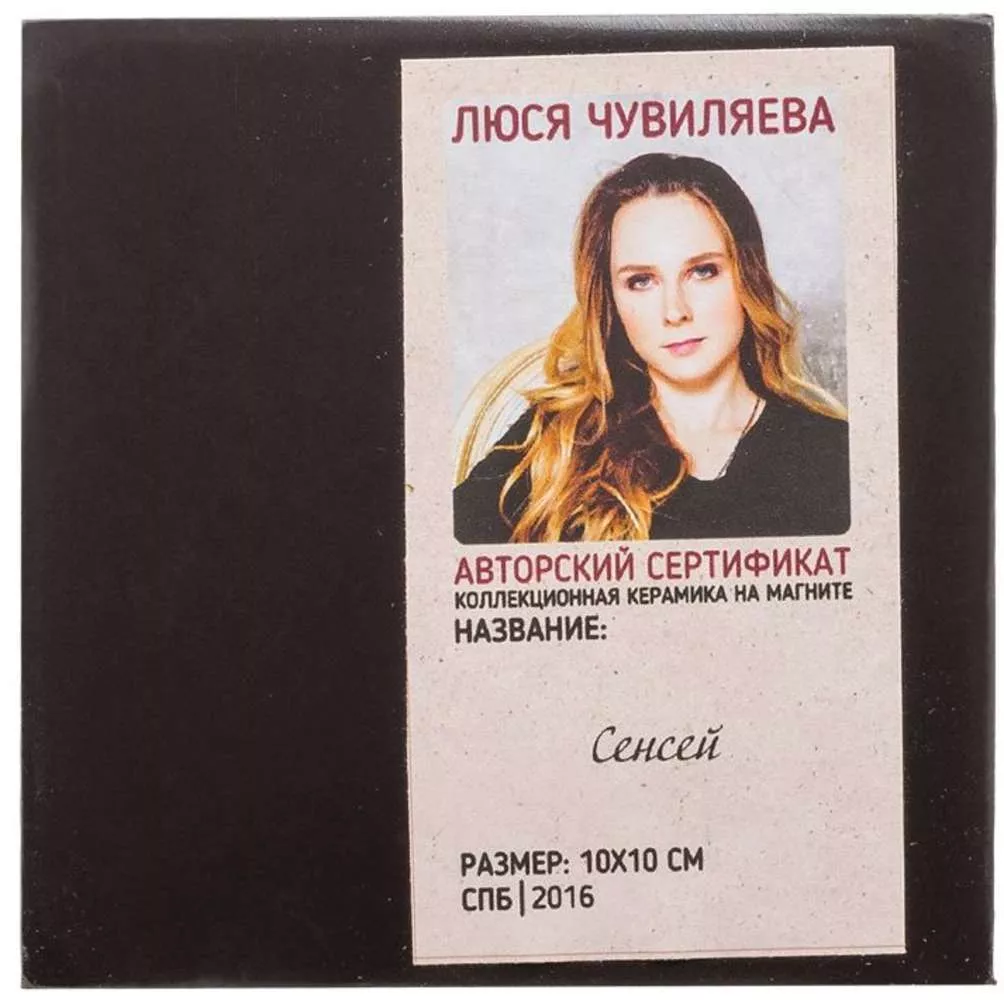 Магнит Сенсей