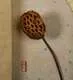 Панно Лазурное утро