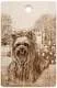 Доска разделочная средняя (кедр) Йоркширсикй терьер