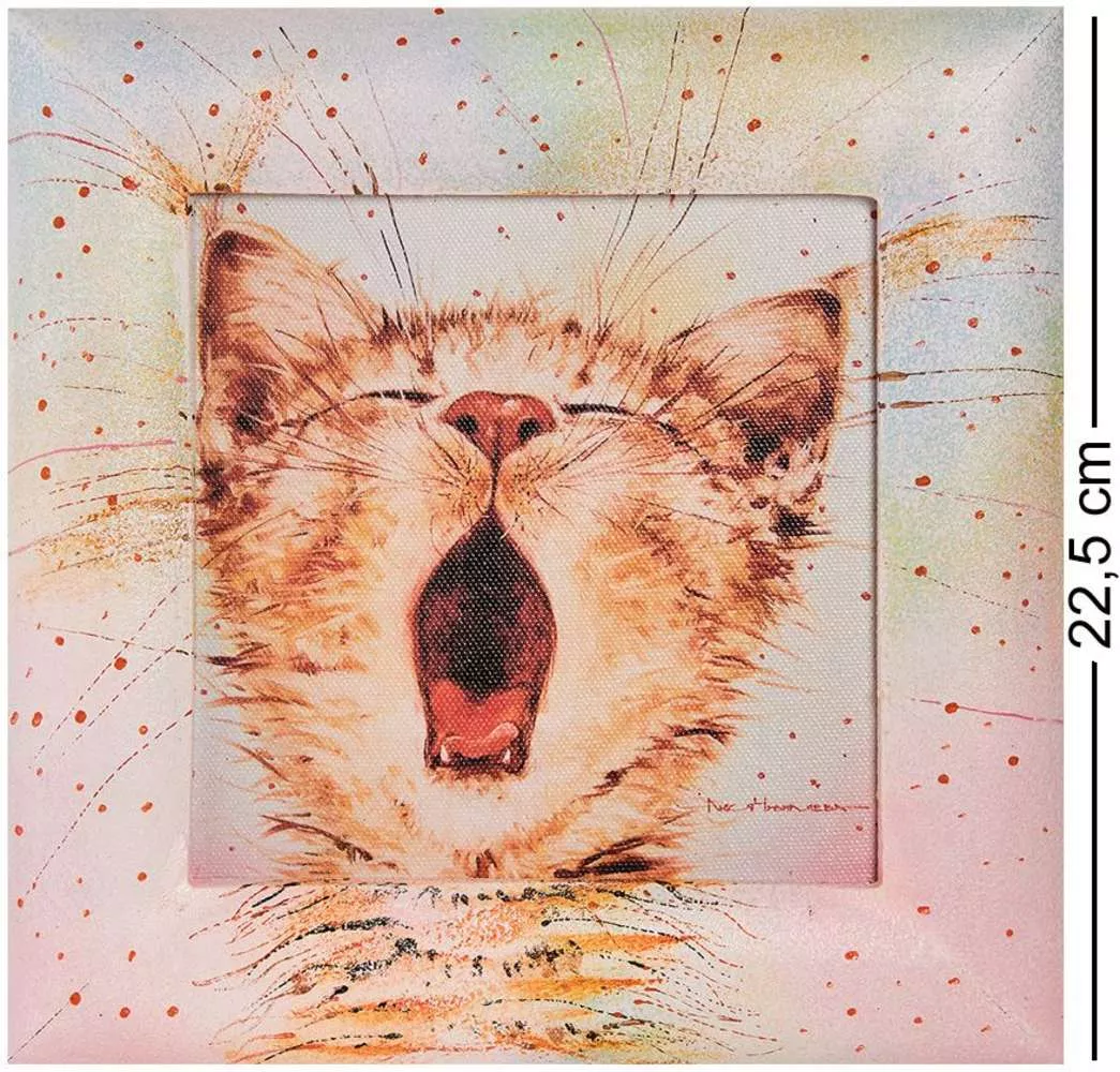 Жикле в раме Соня