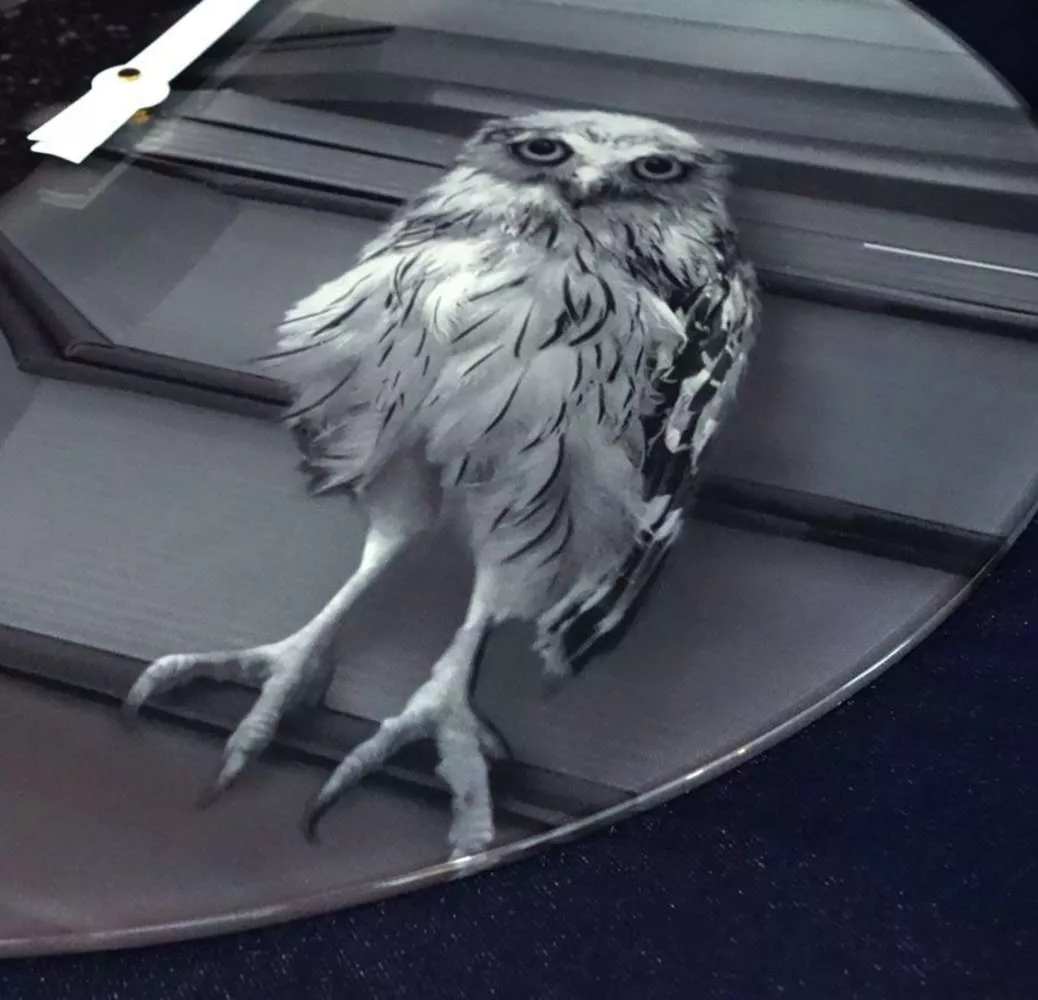 Часы настенные OWL