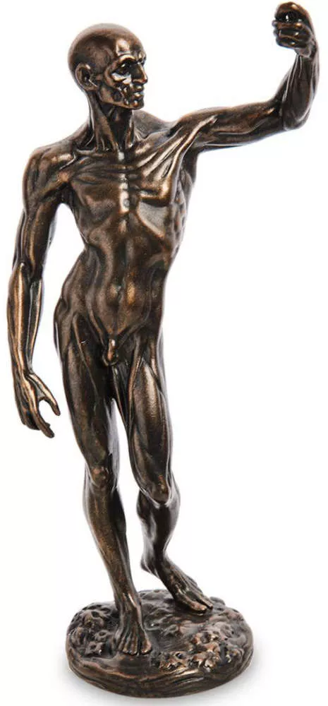 Статуэтка Anatomical Study