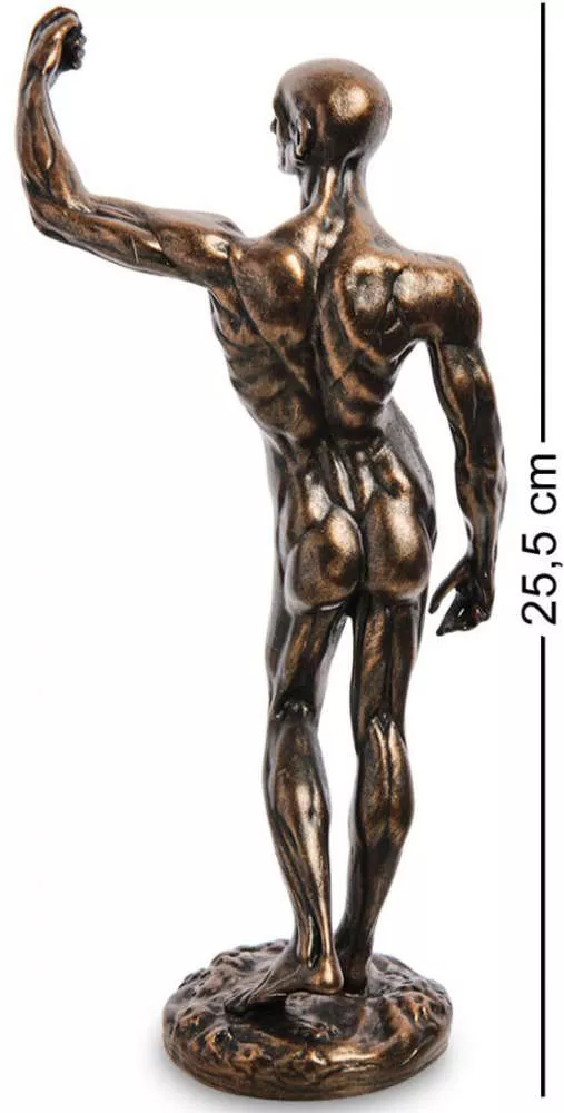 Статуэтка Anatomical Study