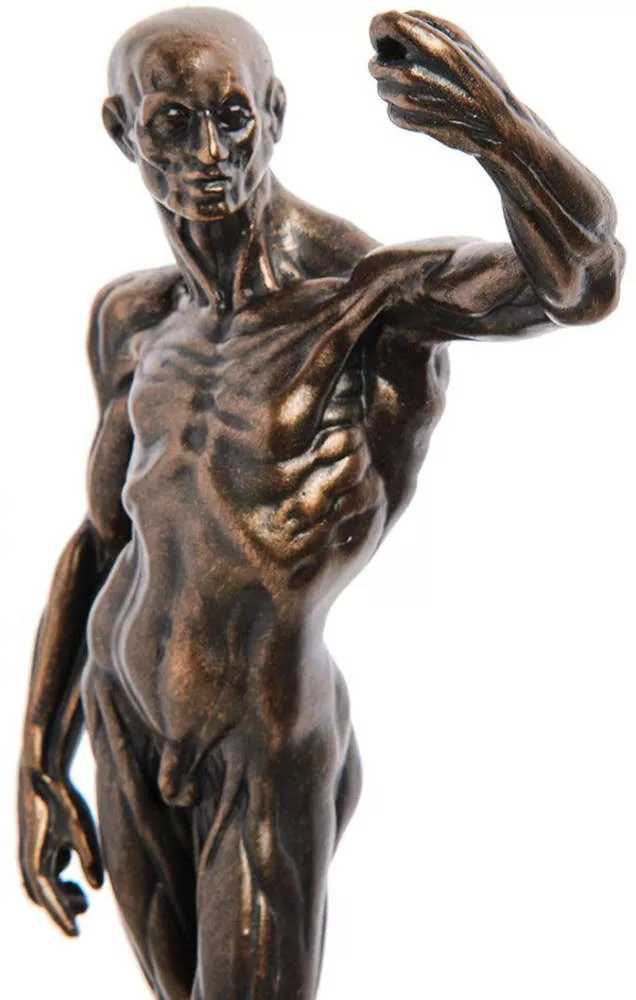 Статуэтка Anatomical Study