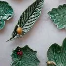 Countryside Leaves - Листья сельской местности