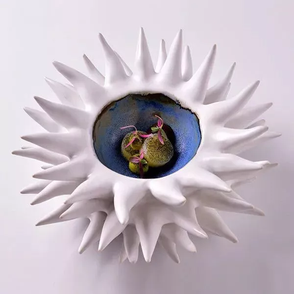 Емкость для закусок RAW Design by RBC в виде морского ежа белая