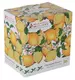 Кружка Лимон Orchard Fruits
