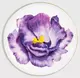 Тарелка десертная Iris