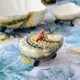 Супница Oysters & Scallops 2 л мультиколор