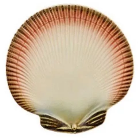 Тарелка Bordallo Pinheiro Oysters & Scallops 22 см мультиколор
